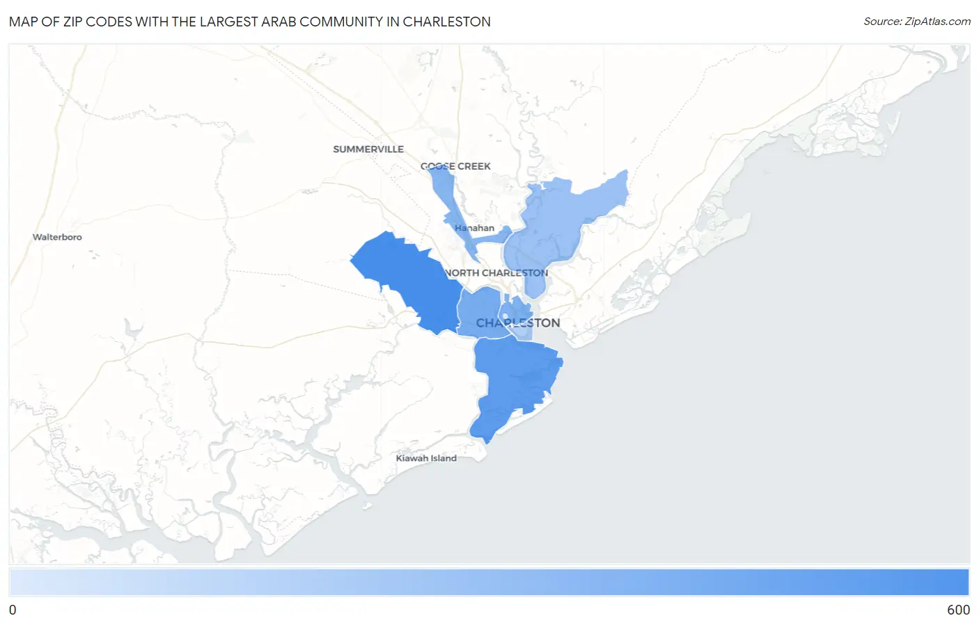 Zip Codes with the Largest Arab Community in Charleston Map