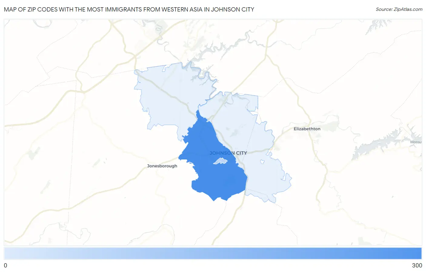 Zip Codes with the Most Immigrants from Western Asia in Johnson City Map