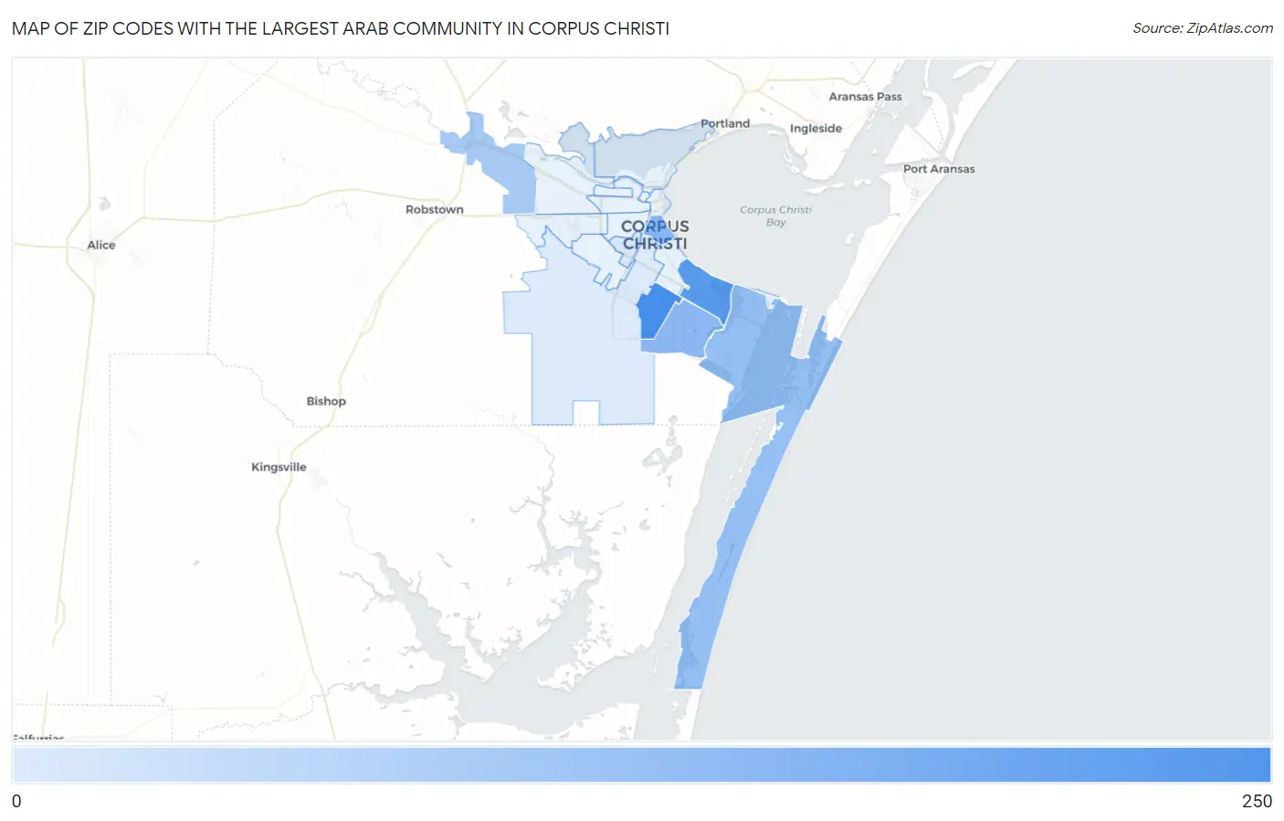 Zip Codes with the Largest Arab Community in Corpus Christi Map