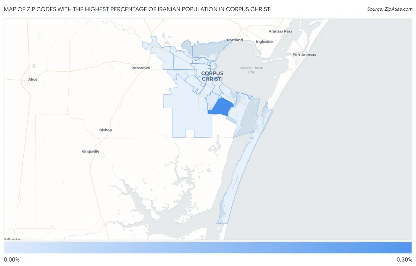 Zip Codes with the Highest Percentage of Iranian Population in Corpus Christi Map