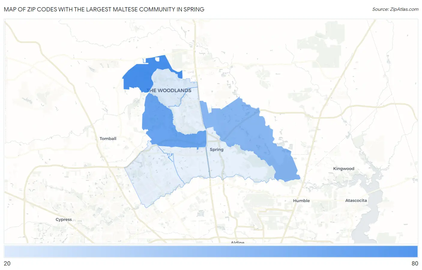 Zip Codes with the Largest Maltese Community in Spring Map