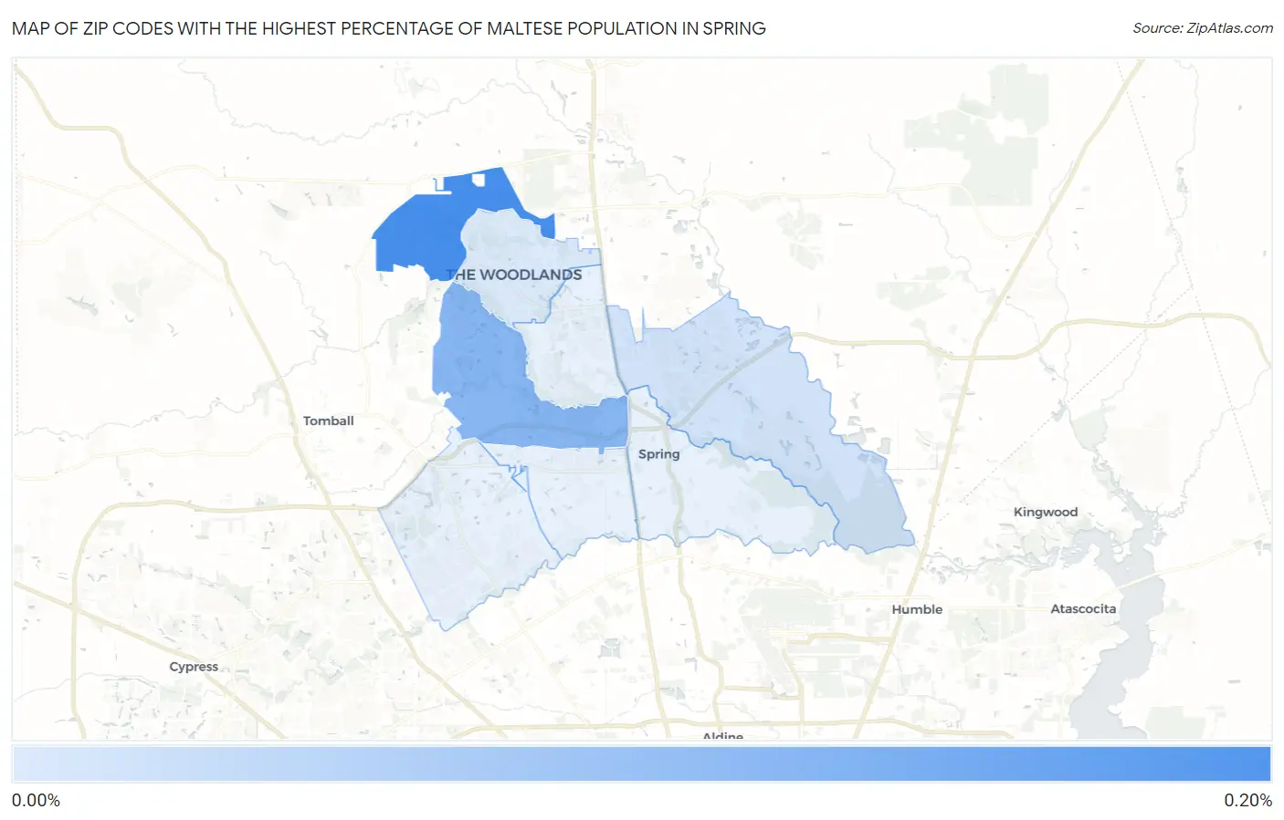 Zip Codes with the Highest Percentage of Maltese Population in Spring Map