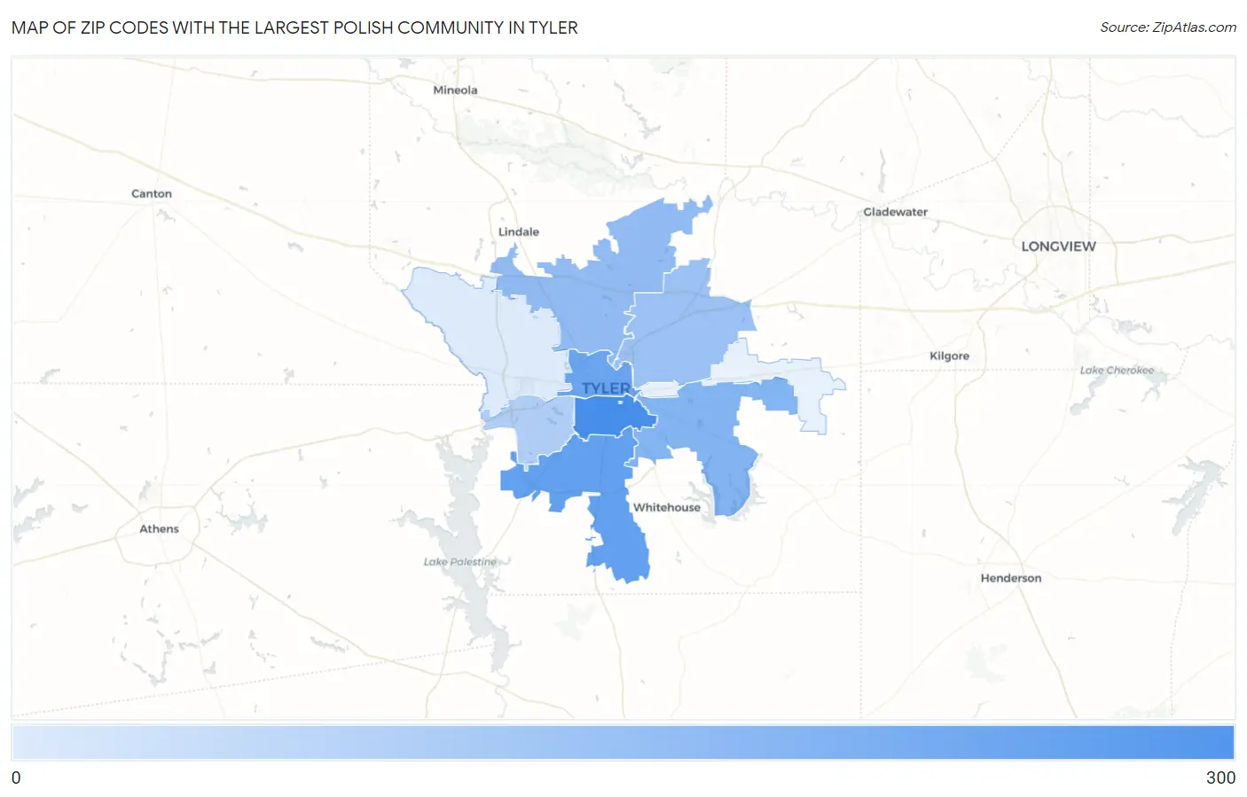 Zip Codes with the Largest Polish Community in Tyler Map