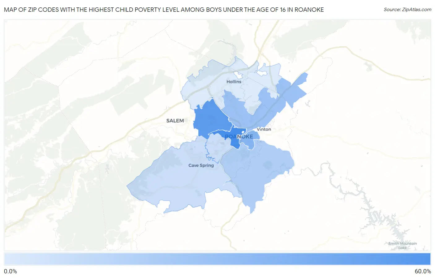 Zip Codes with the Highest Child Poverty Level Among Boys Under the Age of 16 in Roanoke Map