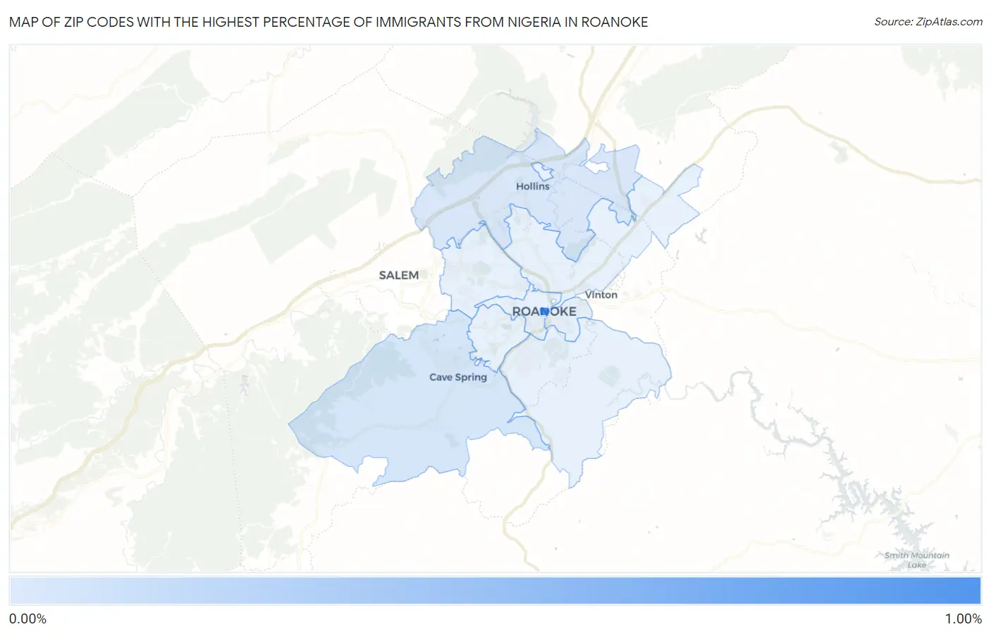 Zip Codes with the Highest Percentage of Immigrants from Nigeria in Roanoke Map