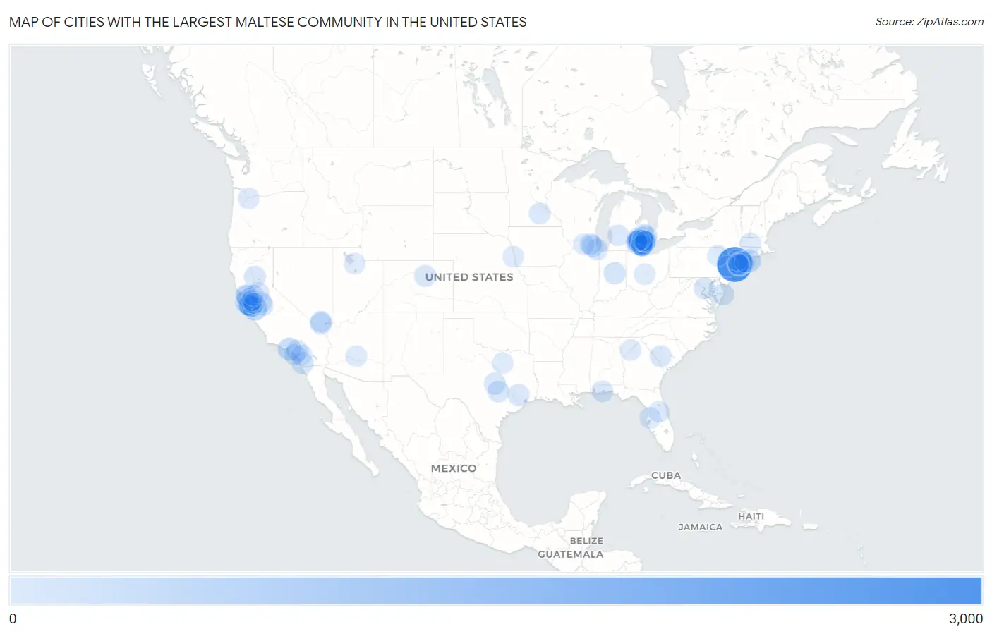 Cities with the Largest Maltese Community in the United States Map