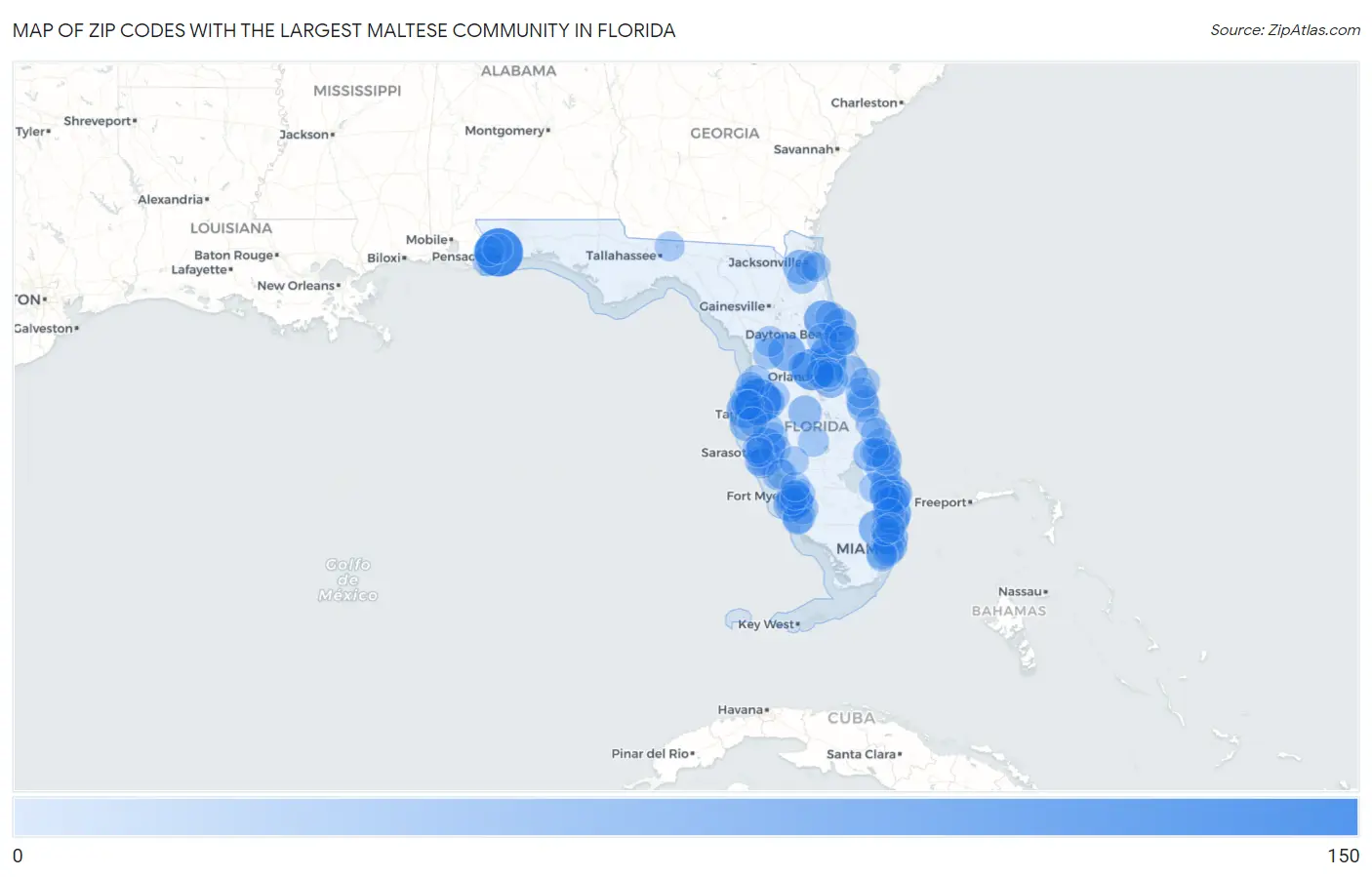 Zip Codes with the Largest Maltese Community in Florida Map