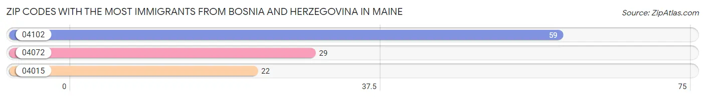 Zip Codes with the Most Immigrants from Bosnia and Herzegovina in Maine Chart
