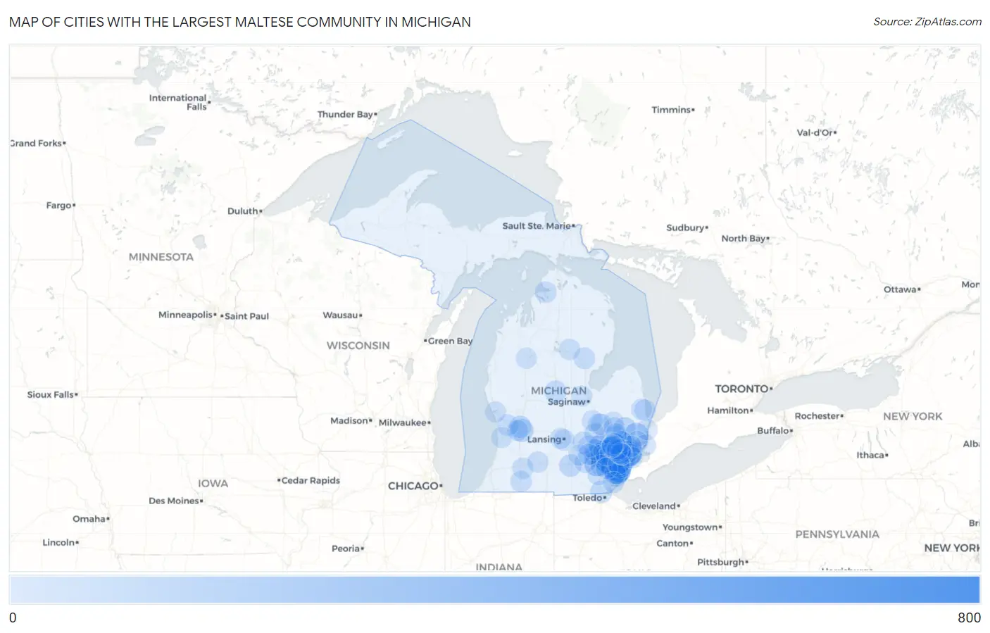 Cities with the Largest Maltese Community in Michigan Map