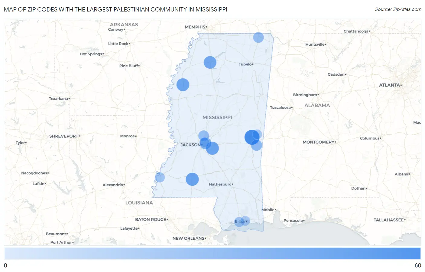 Zip Codes with the Largest Palestinian Community in Mississippi Map