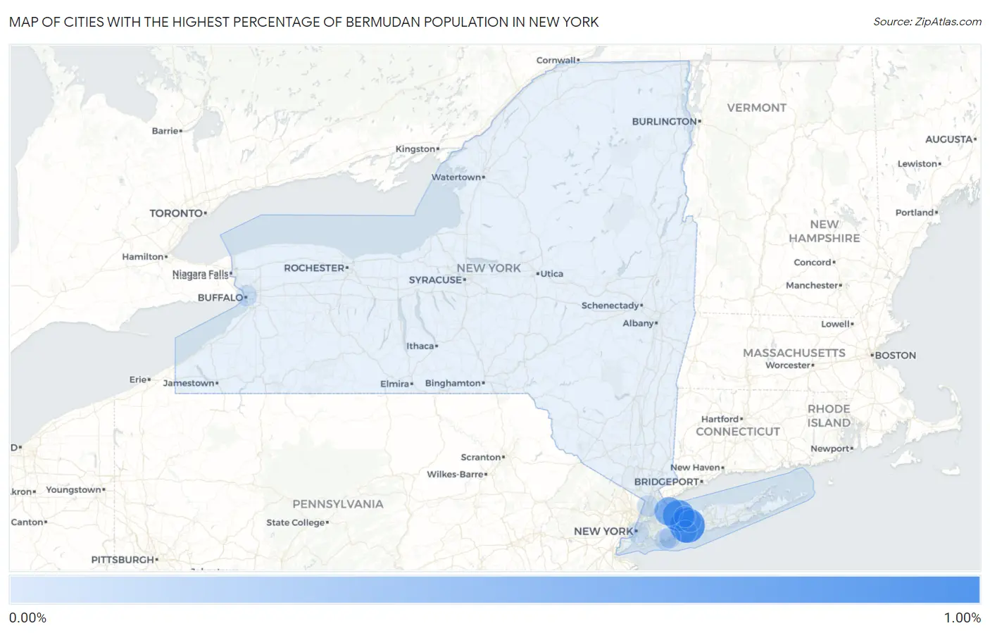 Cities with the Highest Percentage of Bermudan Population in New York Map