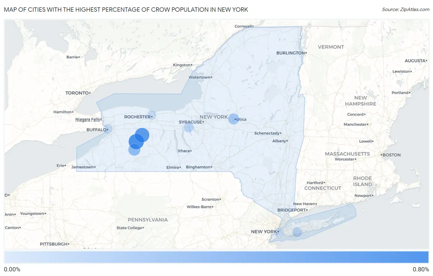 Cities with the Highest Percentage of Crow Population in New York Map