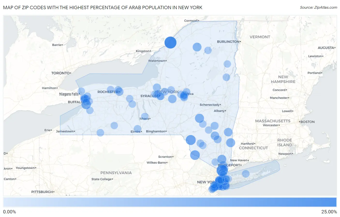 Zip Codes with the Highest Percentage of Arab Population in New York Map