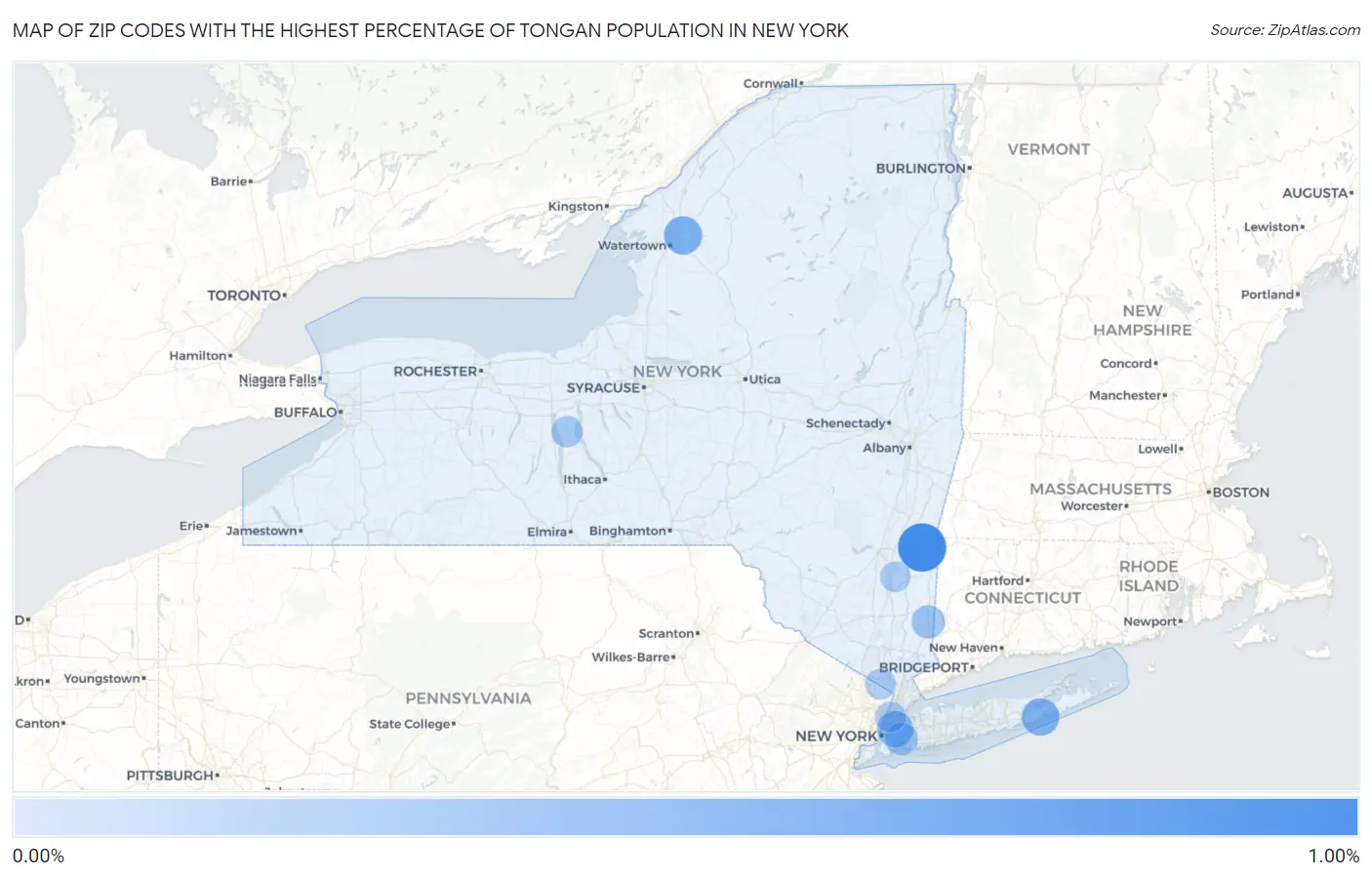 Zip Codes with the Highest Percentage of Tongan Population in New York Map