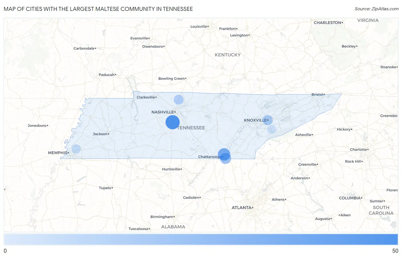 Cities with the Largest Maltese Community in Tennessee Map