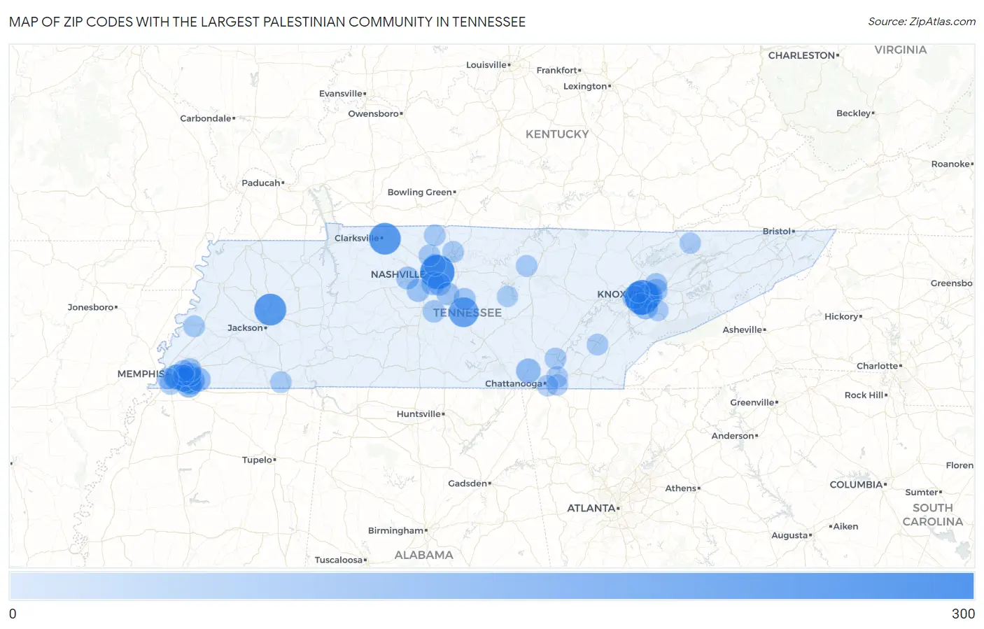 Zip Codes with the Largest Palestinian Community in Tennessee Map