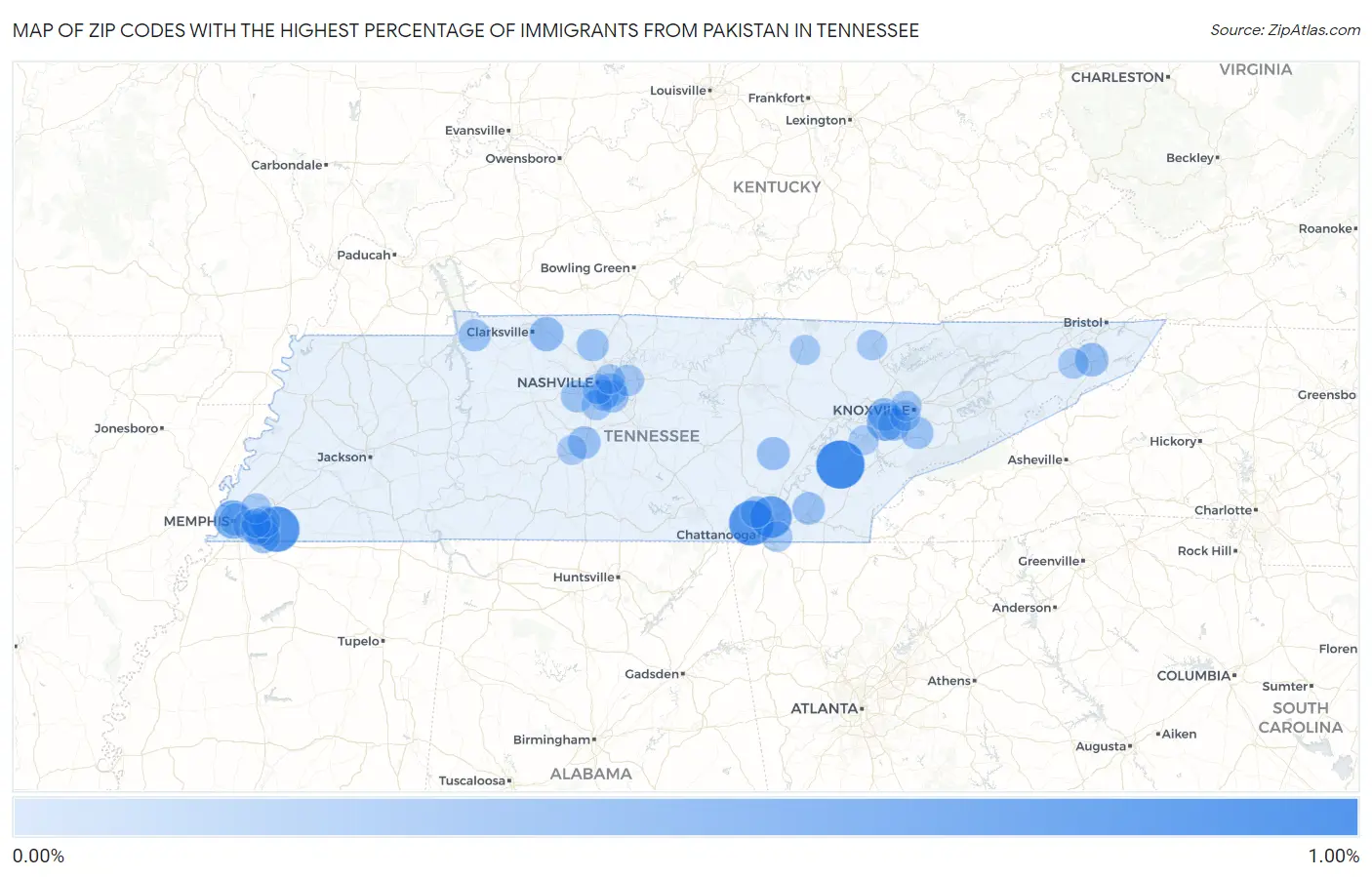 Zip Codes with the Highest Percentage of Immigrants from Pakistan in Tennessee Map