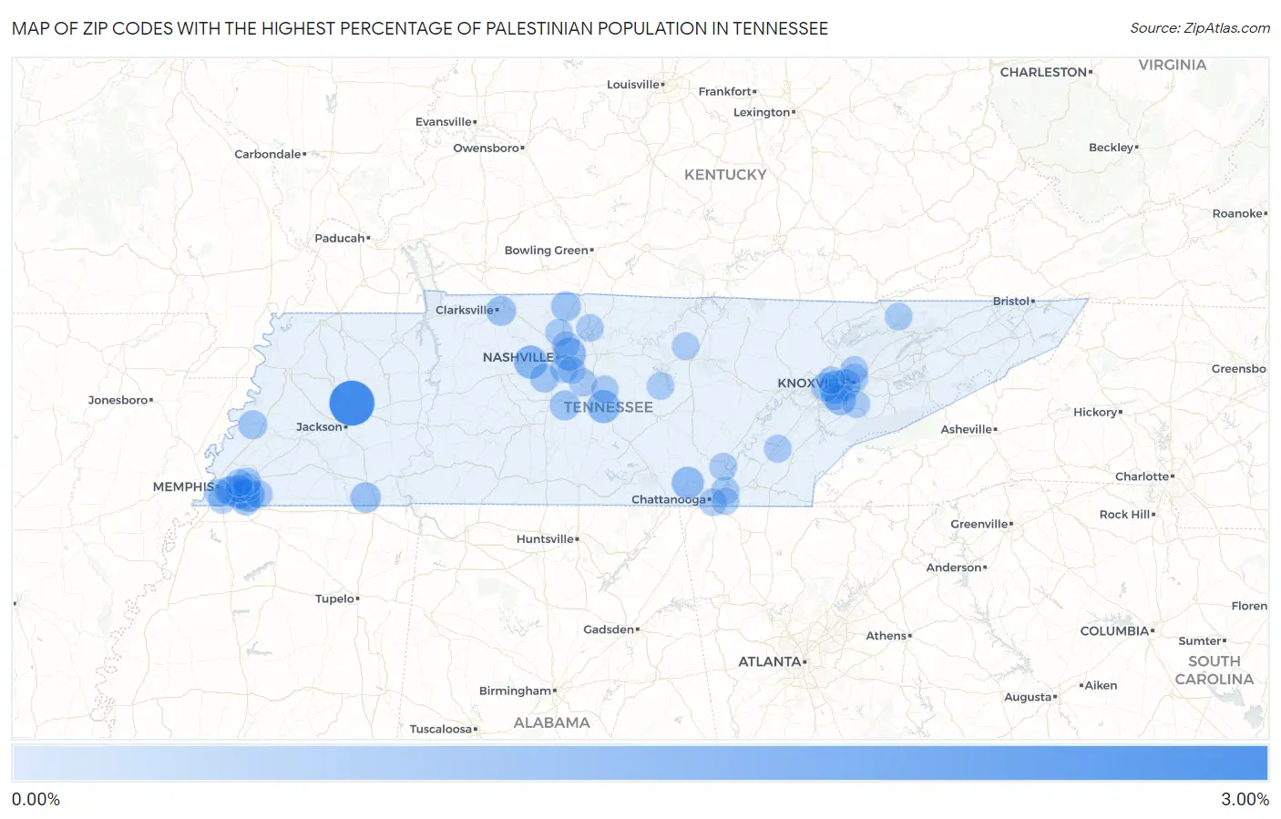Zip Codes with the Highest Percentage of Palestinian Population in Tennessee Map