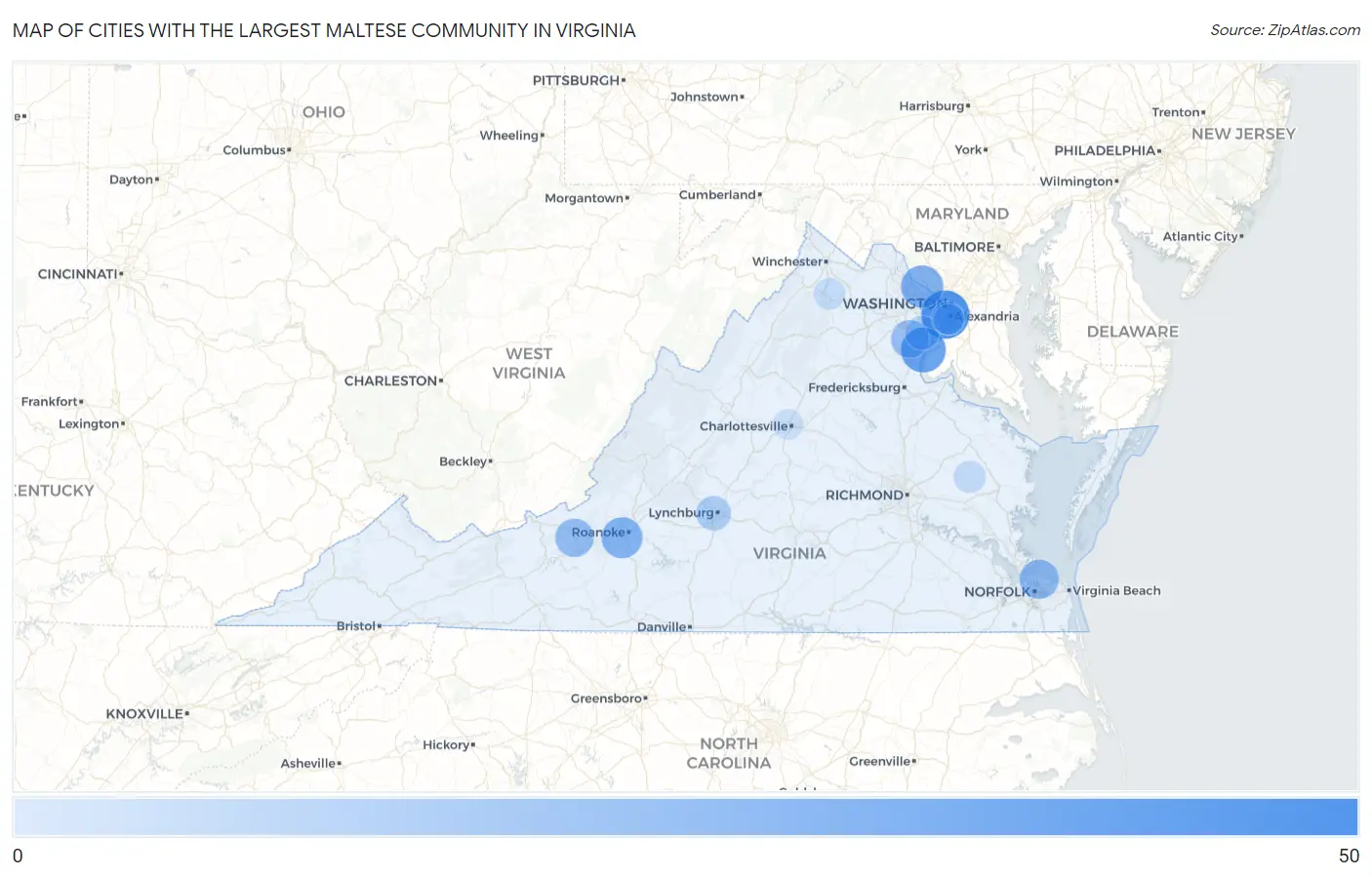 Cities with the Largest Maltese Community in Virginia Map