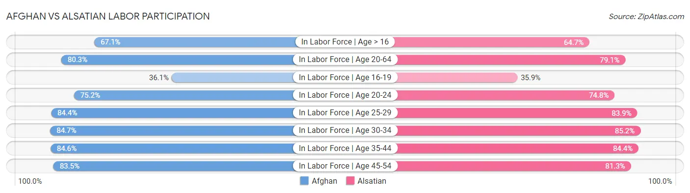 Afghan vs Alsatian Labor Participation