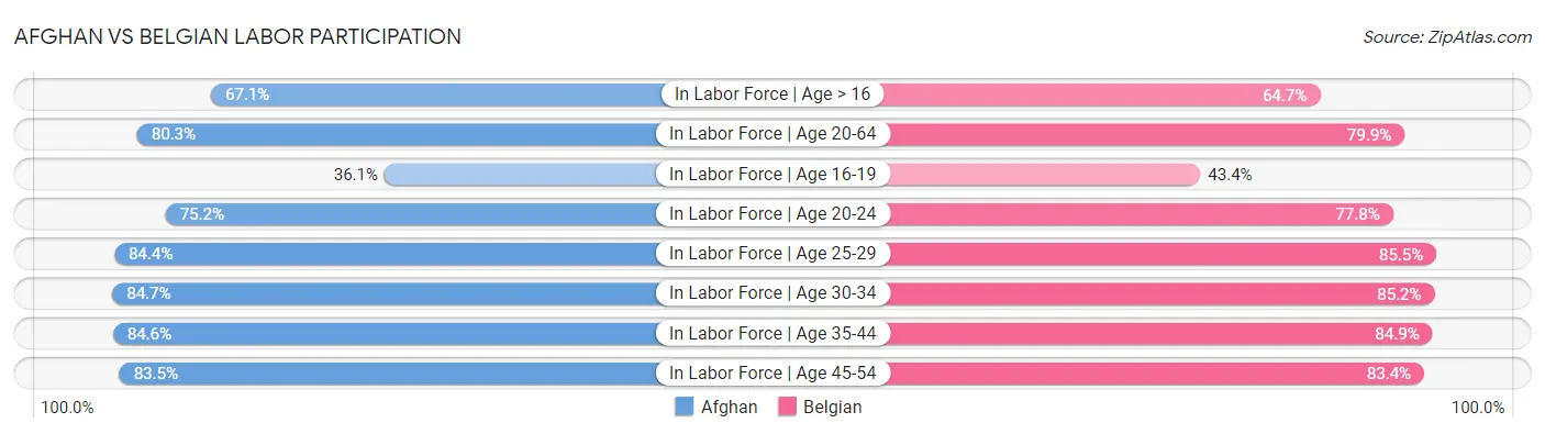Afghan vs Belgian Labor Participation