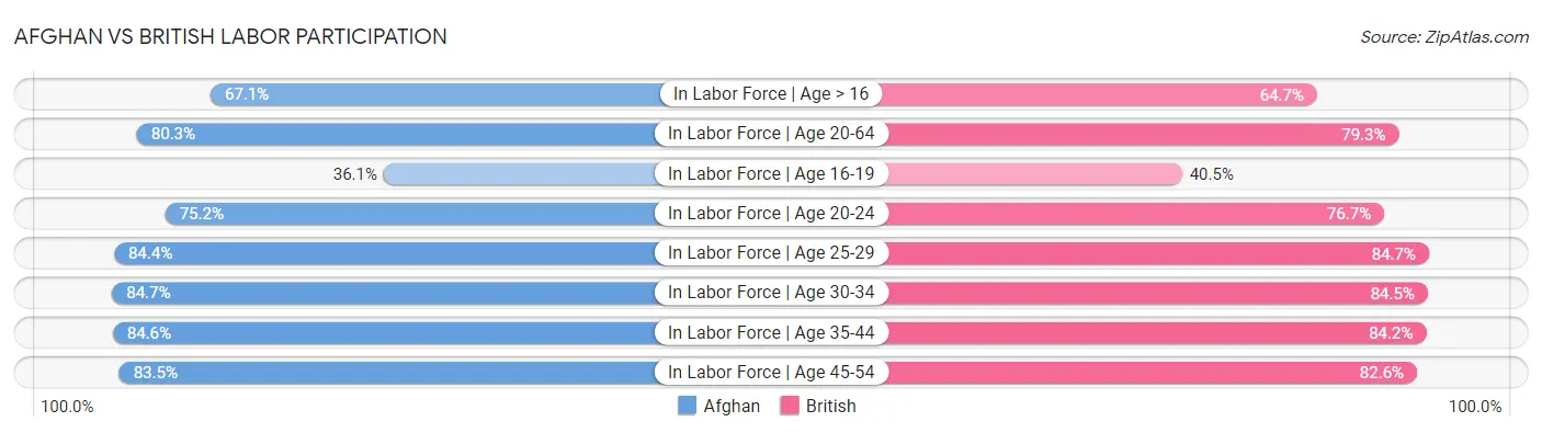 Afghan vs British Labor Participation