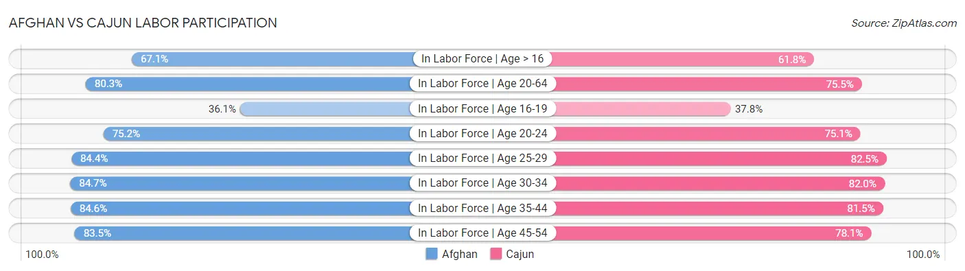Afghan vs Cajun Labor Participation