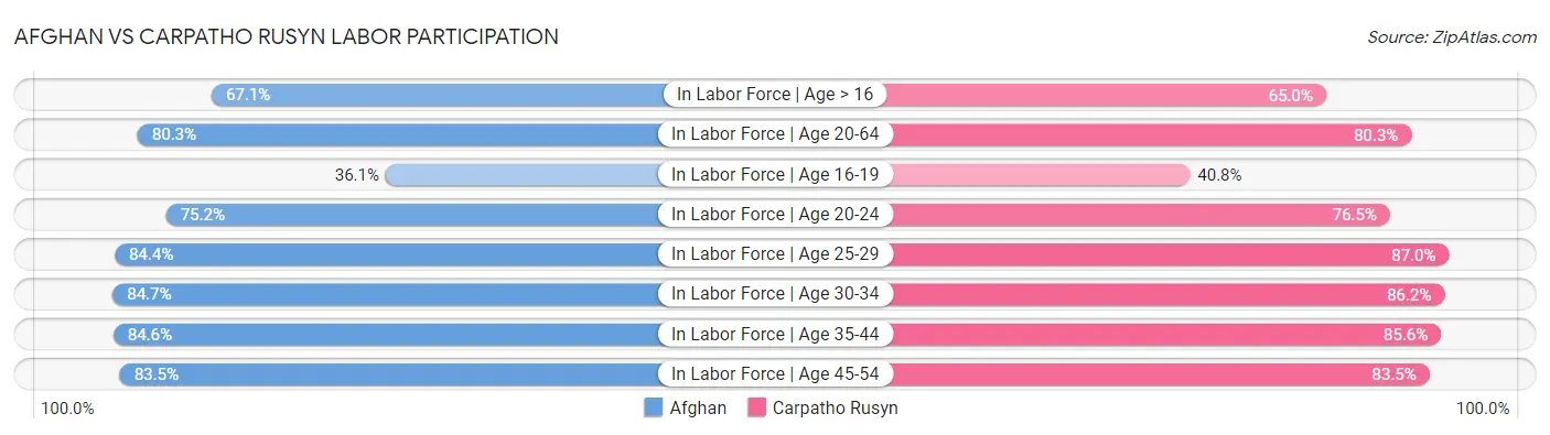 Afghan vs Carpatho Rusyn Labor Participation