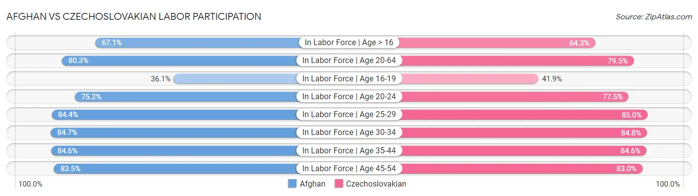 Afghan vs Czechoslovakian Labor Participation
