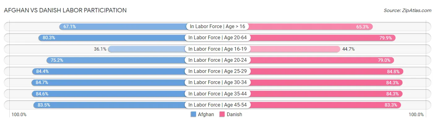 Afghan vs Danish Labor Participation