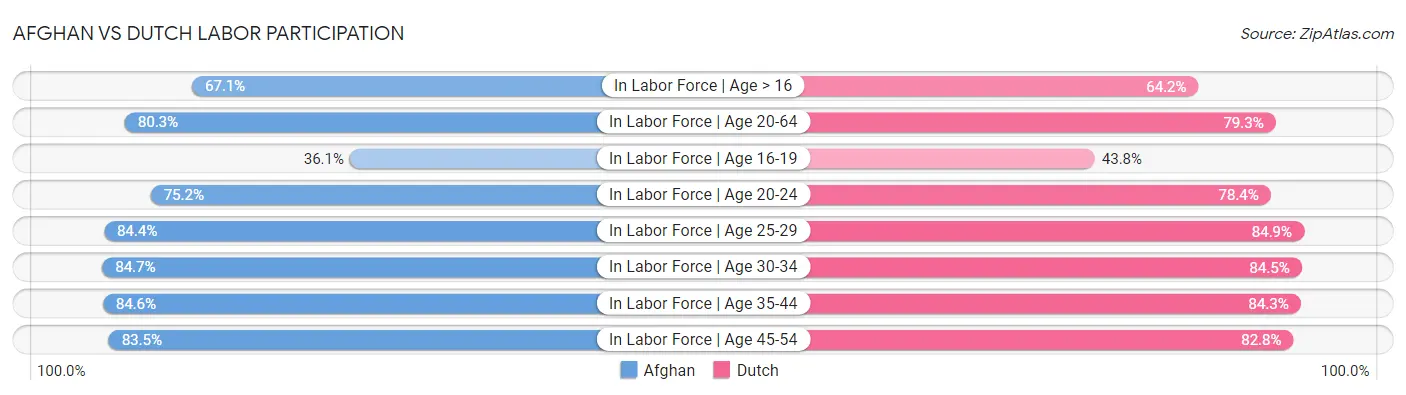 Afghan vs Dutch Labor Participation