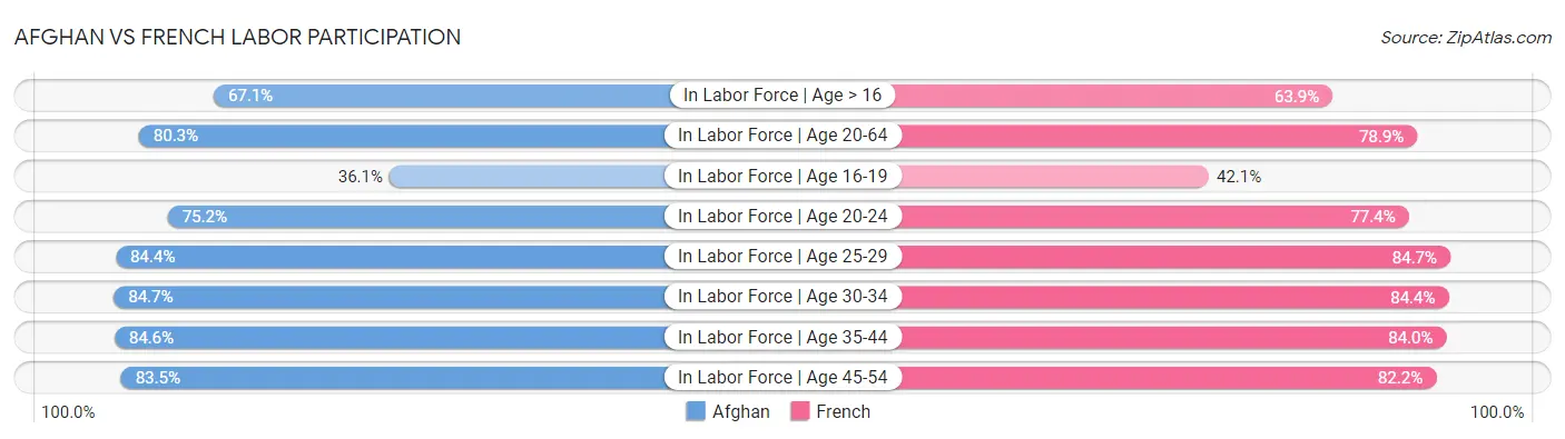 Afghan vs French Labor Participation