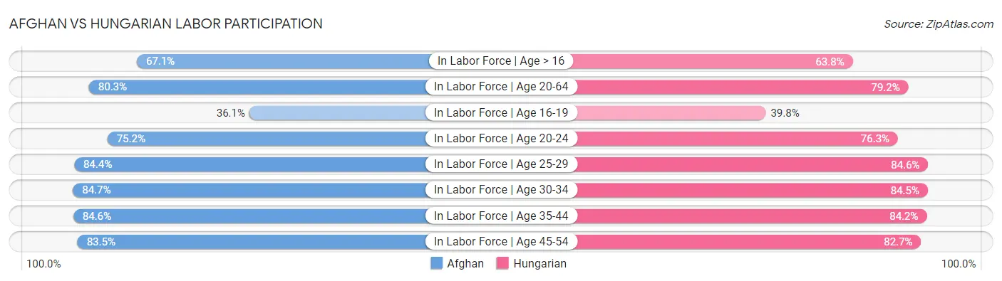 Afghan vs Hungarian Labor Participation