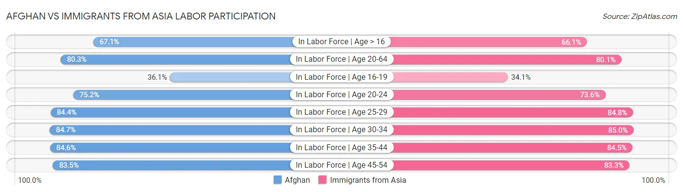 Afghan vs Immigrants from Asia Labor Participation