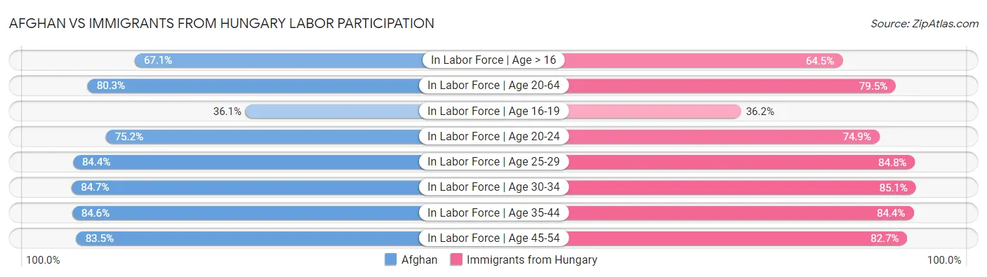 Afghan vs Immigrants from Hungary Labor Participation