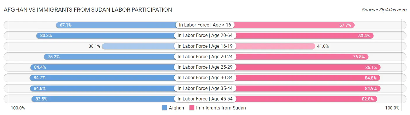 Afghan vs Immigrants from Sudan Labor Participation