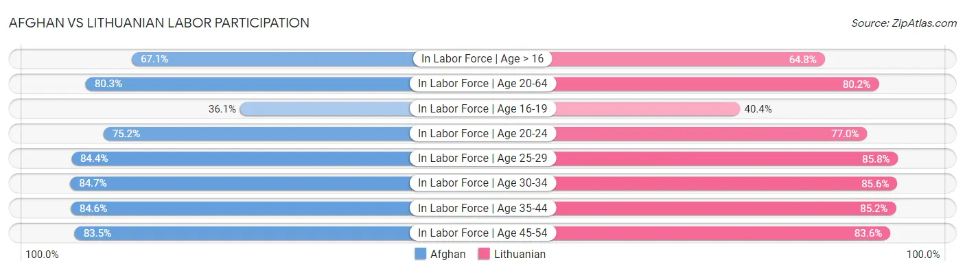 Afghan vs Lithuanian Labor Participation