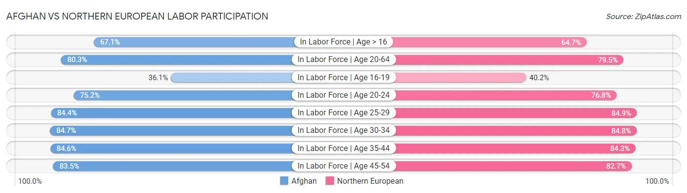Afghan vs Northern European Labor Participation