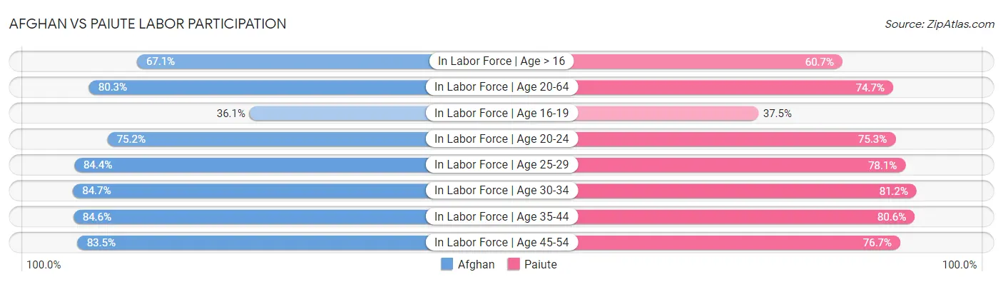 Afghan vs Paiute Labor Participation