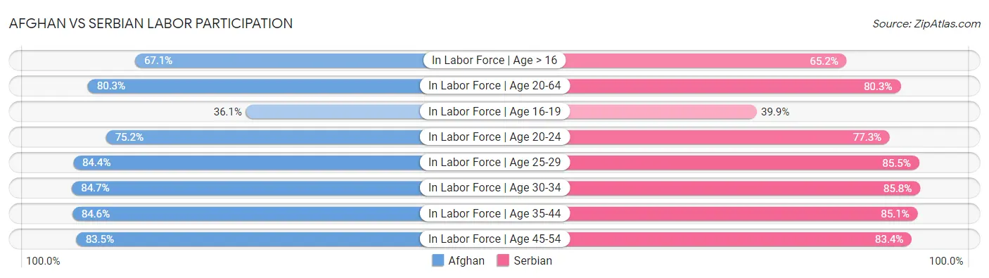 Afghan vs Serbian Labor Participation