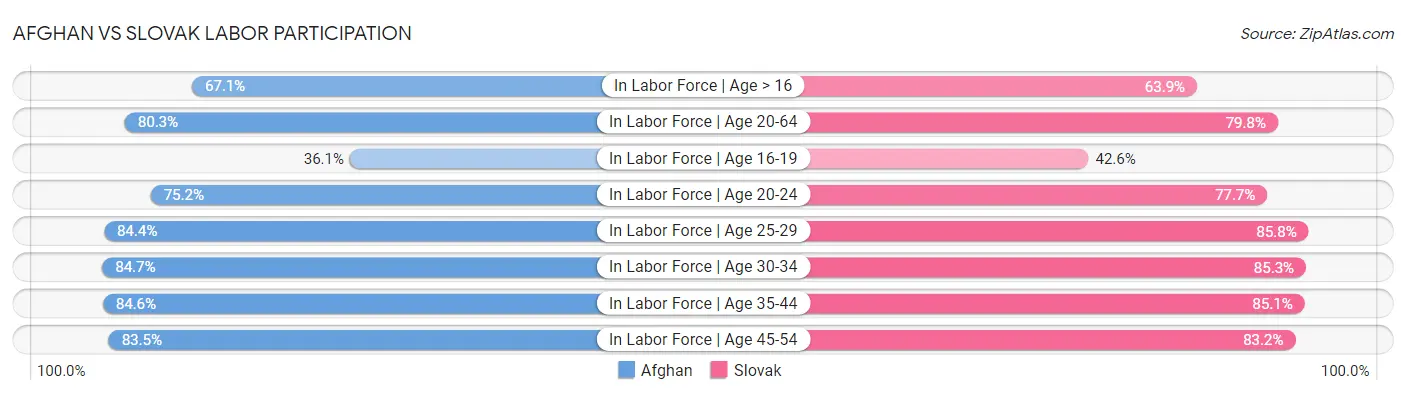 Afghan vs Slovak Labor Participation