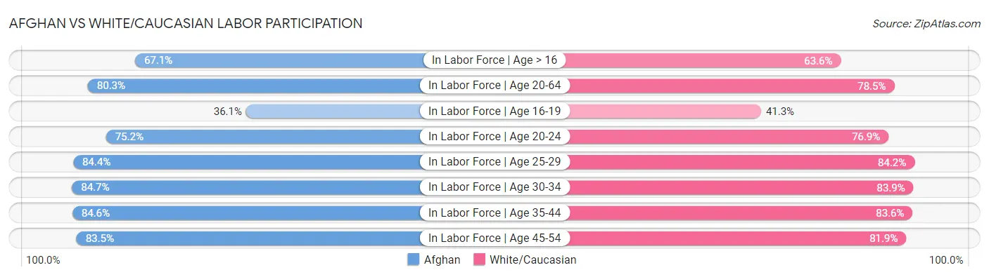 Afghan vs White/Caucasian Labor Participation
