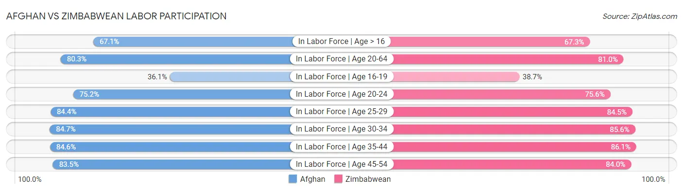 Afghan vs Zimbabwean Labor Participation