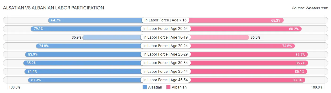Alsatian vs Albanian Labor Participation