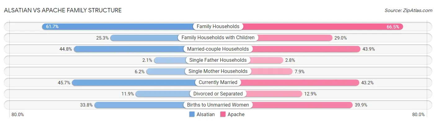 Alsatian vs Apache Family Structure