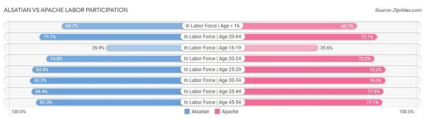 Alsatian vs Apache Labor Participation