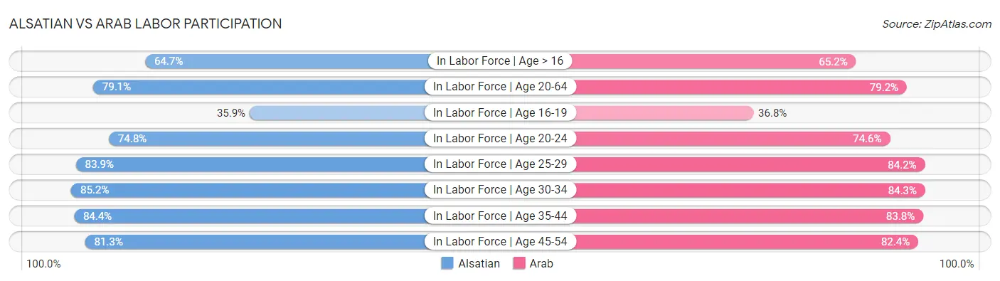 Alsatian vs Arab Labor Participation