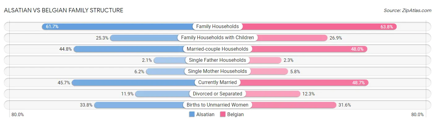 Alsatian vs Belgian Family Structure