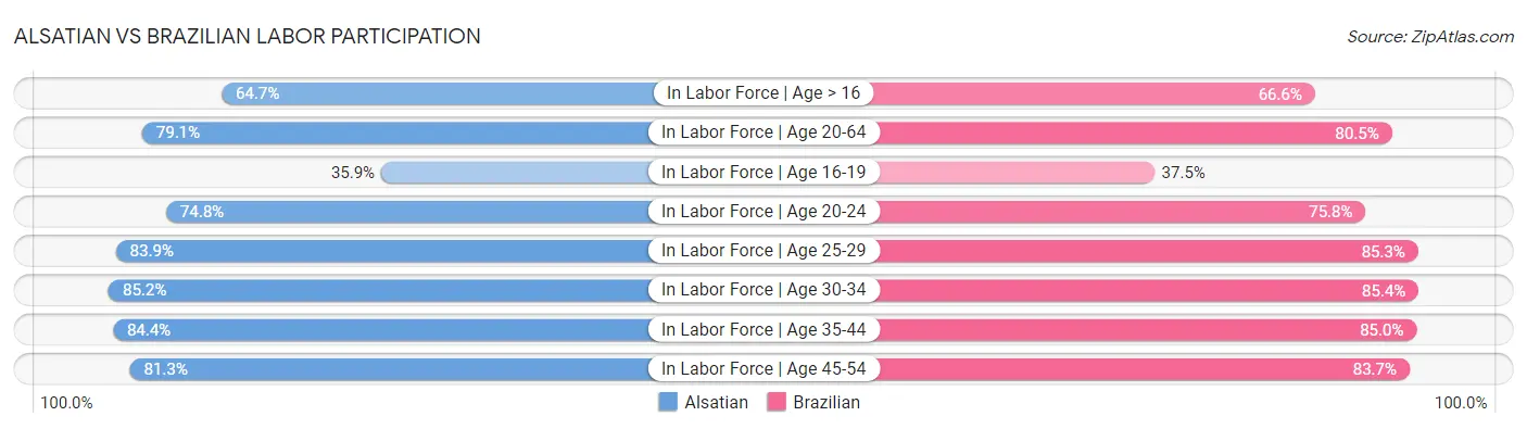 Alsatian vs Brazilian Labor Participation