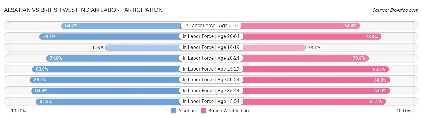 Alsatian vs British West Indian Labor Participation